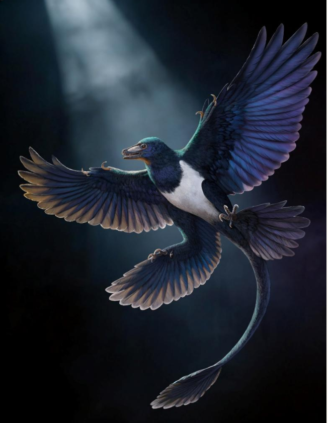 image3.png